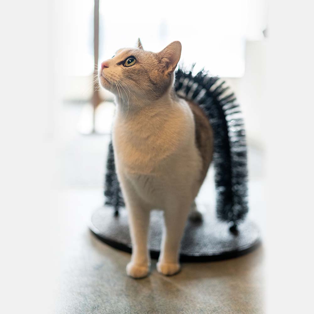 Ονυχοδρόμια γάτας - Paws and Claws - Pet Shop Χαλκίδα